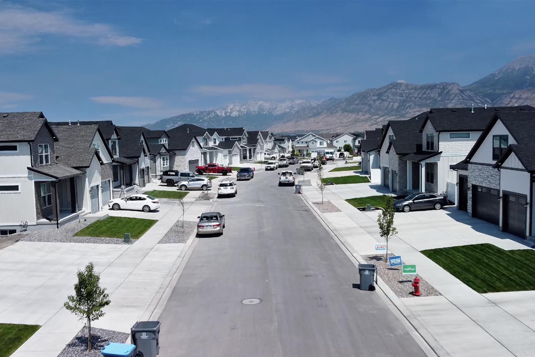 Sycamores Vineyard_0002_Screenshot 2025-07-31 at 5.47.06 PM