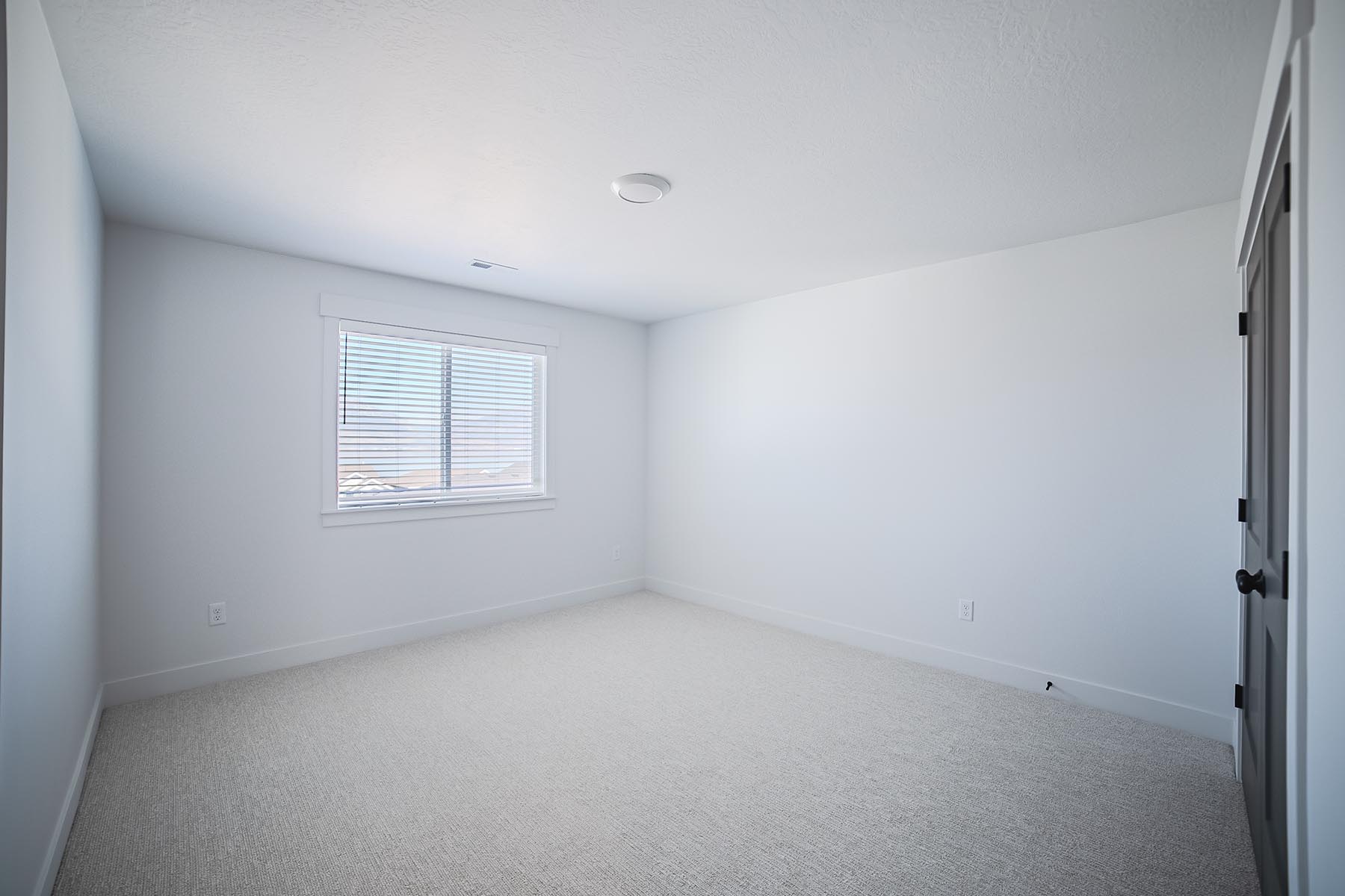 FH11245_0008_Photo Aug 12 2025, 3 38 21 PM