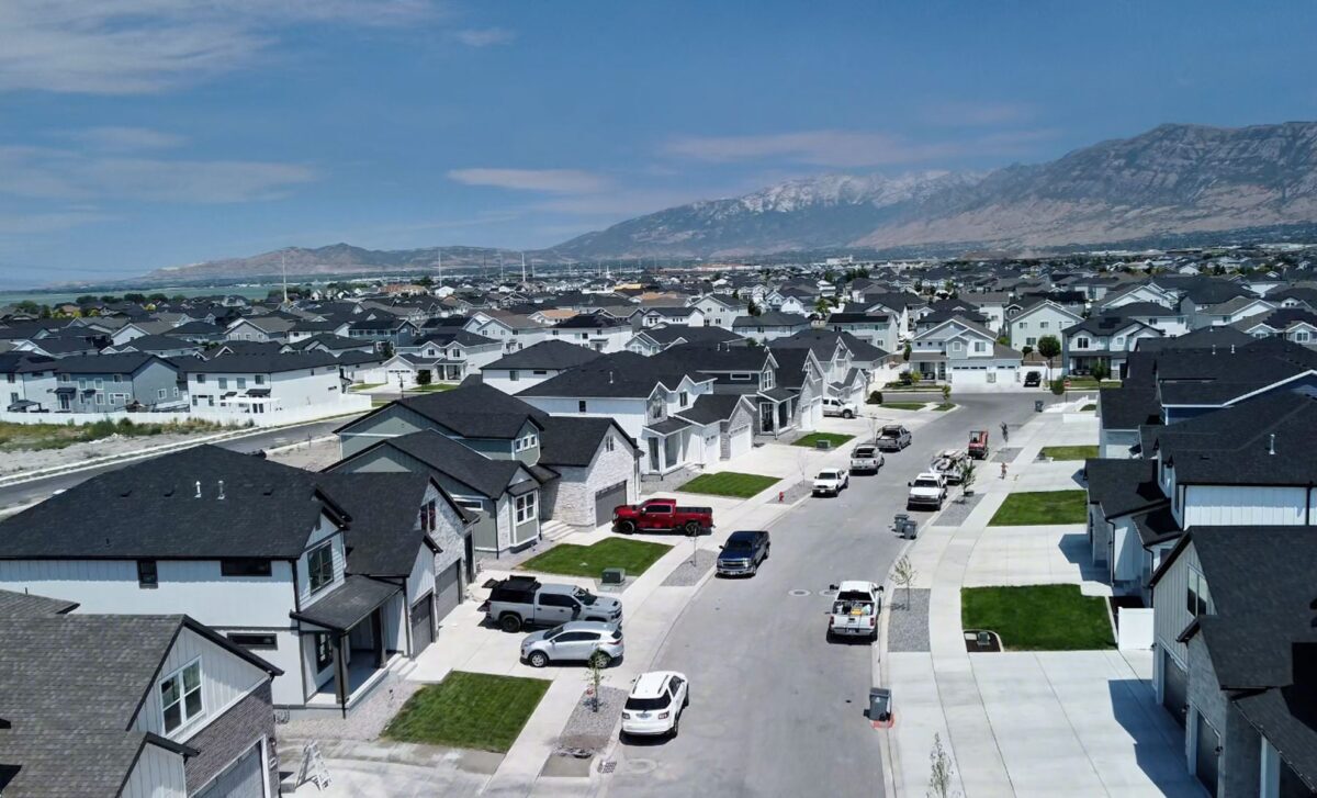 The-Sycamores-Vineyard-Featured-Image