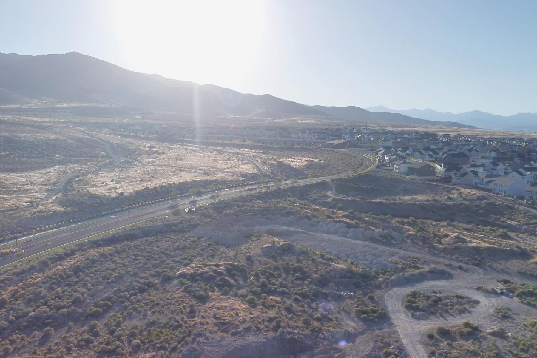 Fox Hollow 2025_0000_FH4